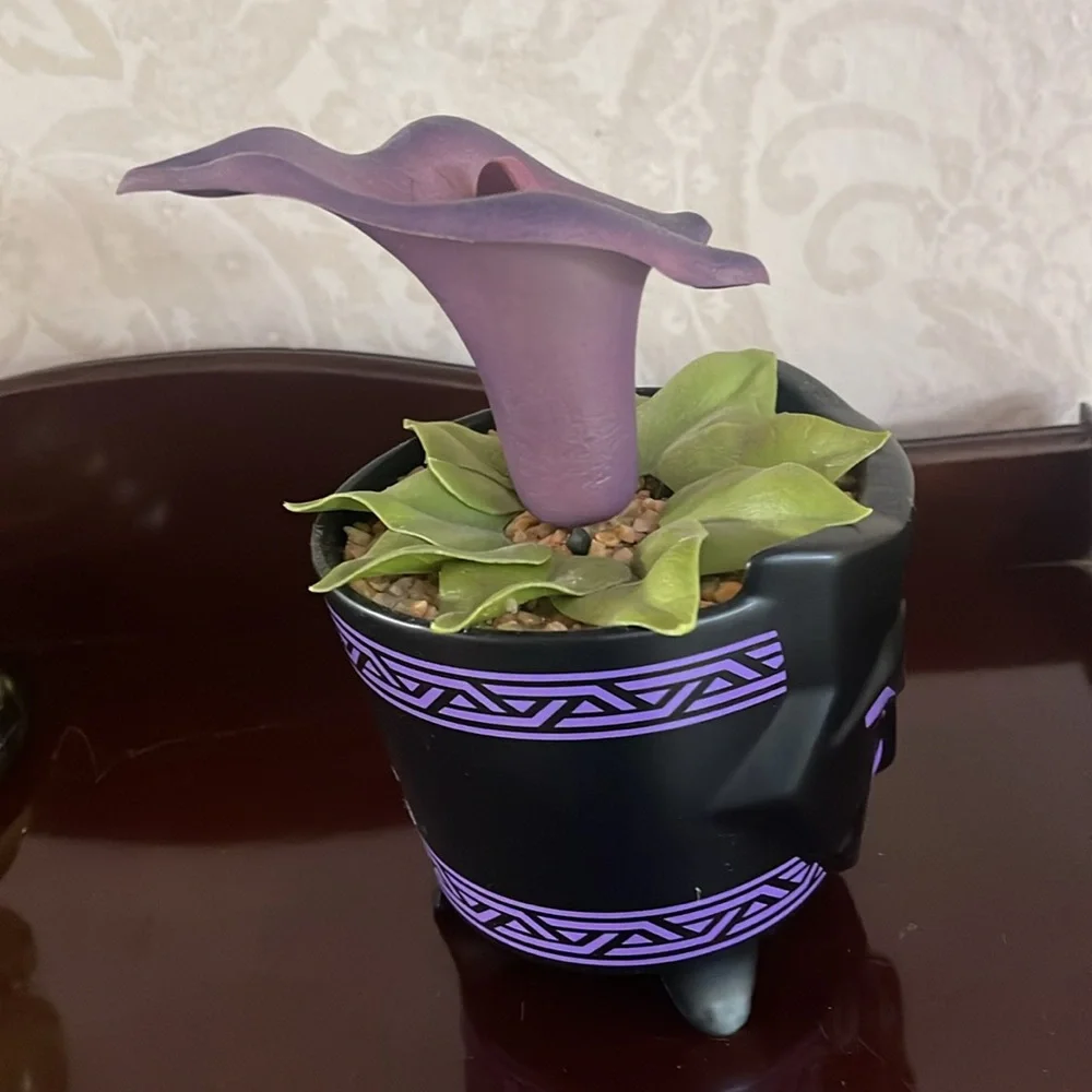 Purple Decorative Flower Pot from Disneyland